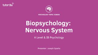 Biopsychology Nervous System Explained [upl. by Arny]