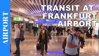 TRANSIT WALK AT FRANKFURT Airport FRA Terminal 1  Connection Flight Transfer Arriving amp Departing [upl. by Jacy228]