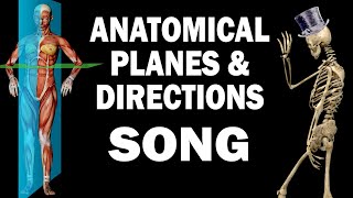 ANATOMICAL PLANES AND DIRECTIONS SONG [upl. by Delly635]