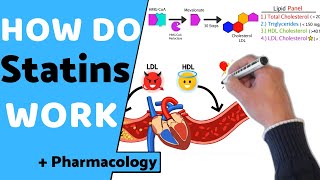 How do Statins Work  Pharmacology [upl. by Shae]