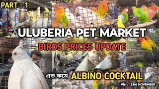 ULUBERIA PET MARKET BIRDS PRICES UPDATE 23rd NOVEMBER PART 1 uluberiapetmarket cheapestprice [upl. by Maidie]