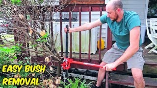 Easiest Way to Remove Bush Stumps [upl. by Nnylyram]