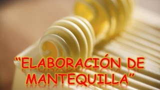 PROCESO DE ELABORACIÓN DE MANTEQUILLA  ProcesosProductivos [upl. by Jelsma]