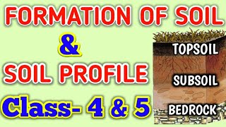 Soil Formation  SOIL PROFILE Class 4 amp 5 SCIENCE OLYMPIAD [upl. by Faulkner]