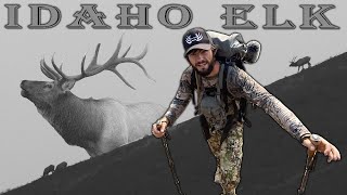 FIRST TIME Public Land Idaho Archery Elk Hunt  Our Experience [upl. by Sion]