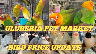 Uluberia pet market today bird price update [upl. by Neysa]