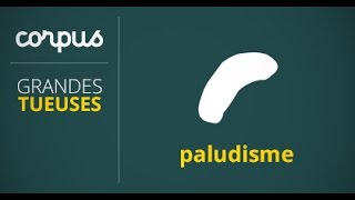 Corpus MSF « Grandes tueuses »  Paludisme [upl. by Kleon]