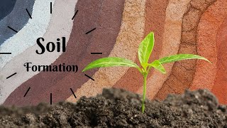 Soil Formation [upl. by Nered935]