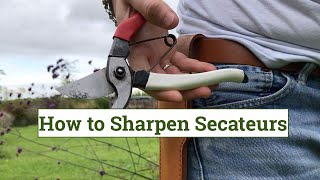 How to sharpen secateurs [upl. by Yekcin]